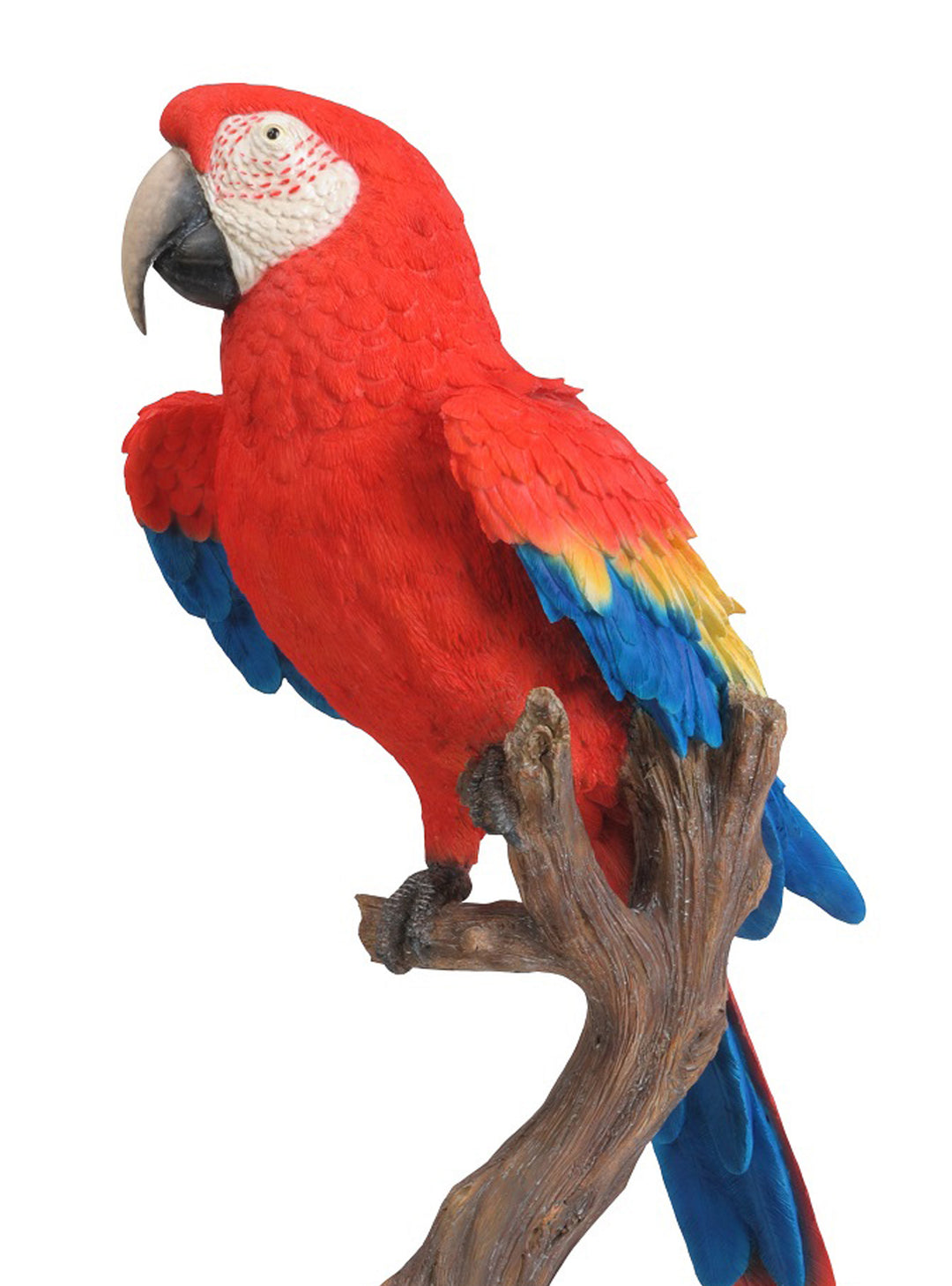 Tropical Birds –  Red Parrot Ornament – Parrot of Brazil Life Size Statue