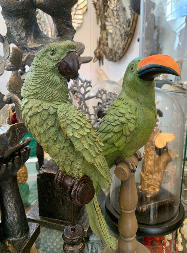 Green Toucan on Pilar  – Tropical Birds  – Parrot of Brazil