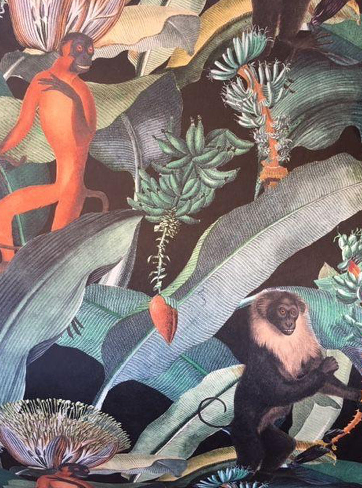 Monkey Wallpaper, Mind The Gap The Rediscovered Paradise Bermuda Wallpaper