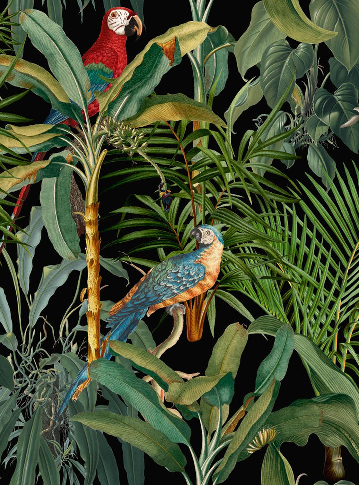 Parrots Of Brasil Wallpaper by Mind The Gap