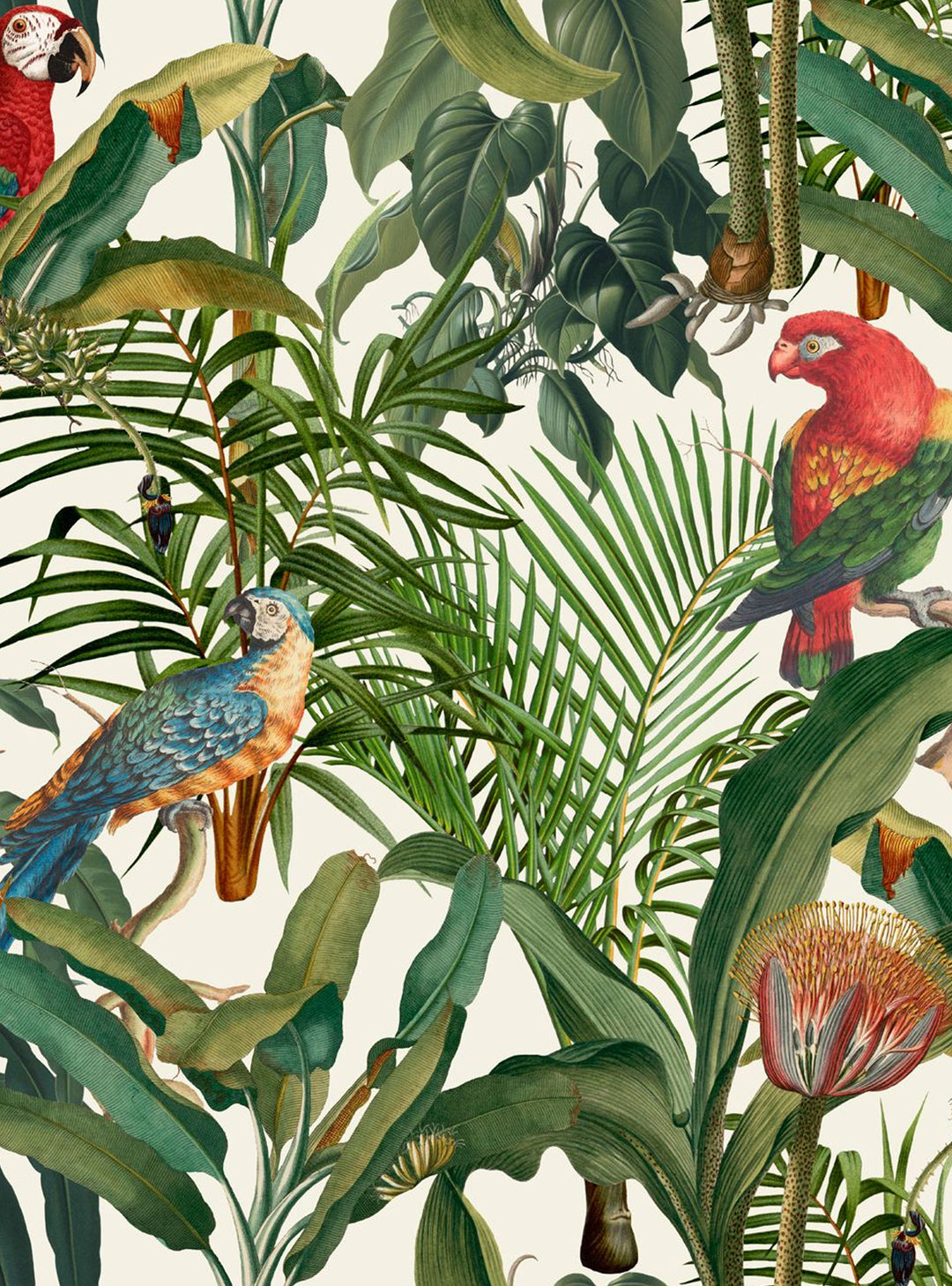 Parrots Of Brasil Wallpaper by Mind The Gap