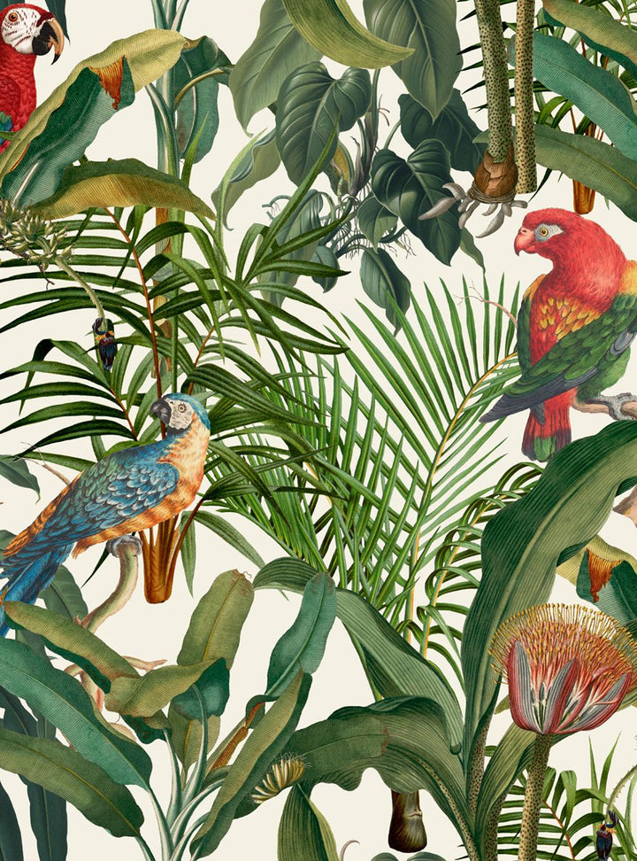 Parrots Of Brasil Wallpaper by Mind The Gap