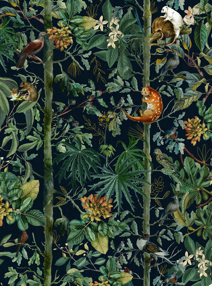 Mind The Gap Designer Wallpaper, Wildlife of Papua