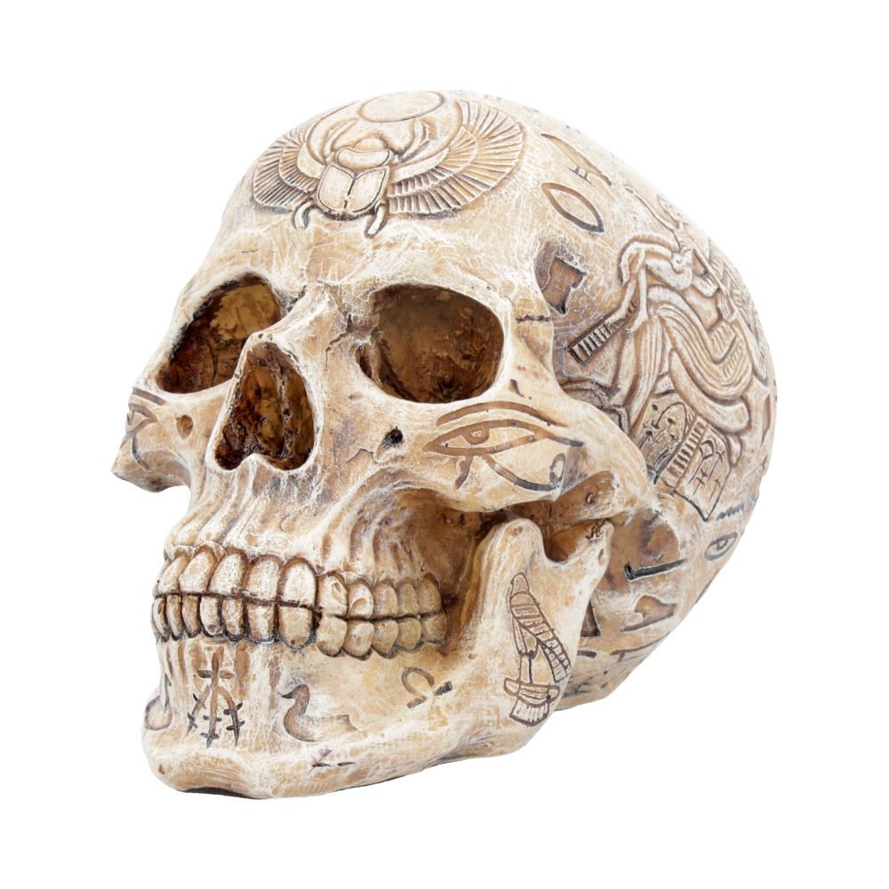 Human Skull: Hieroglyphic Skull