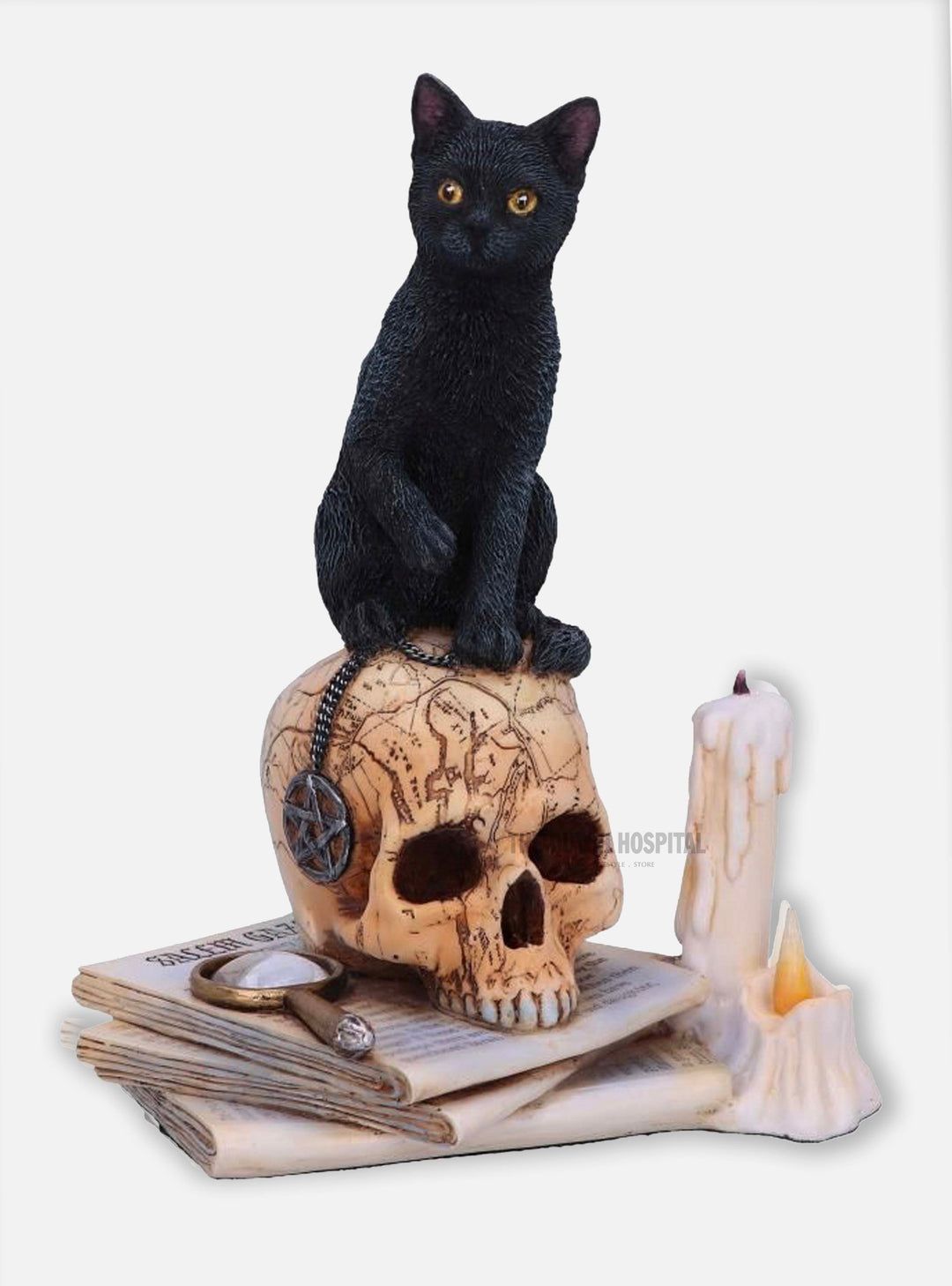 Skull – Black Cat on Skull Spirits of Salem