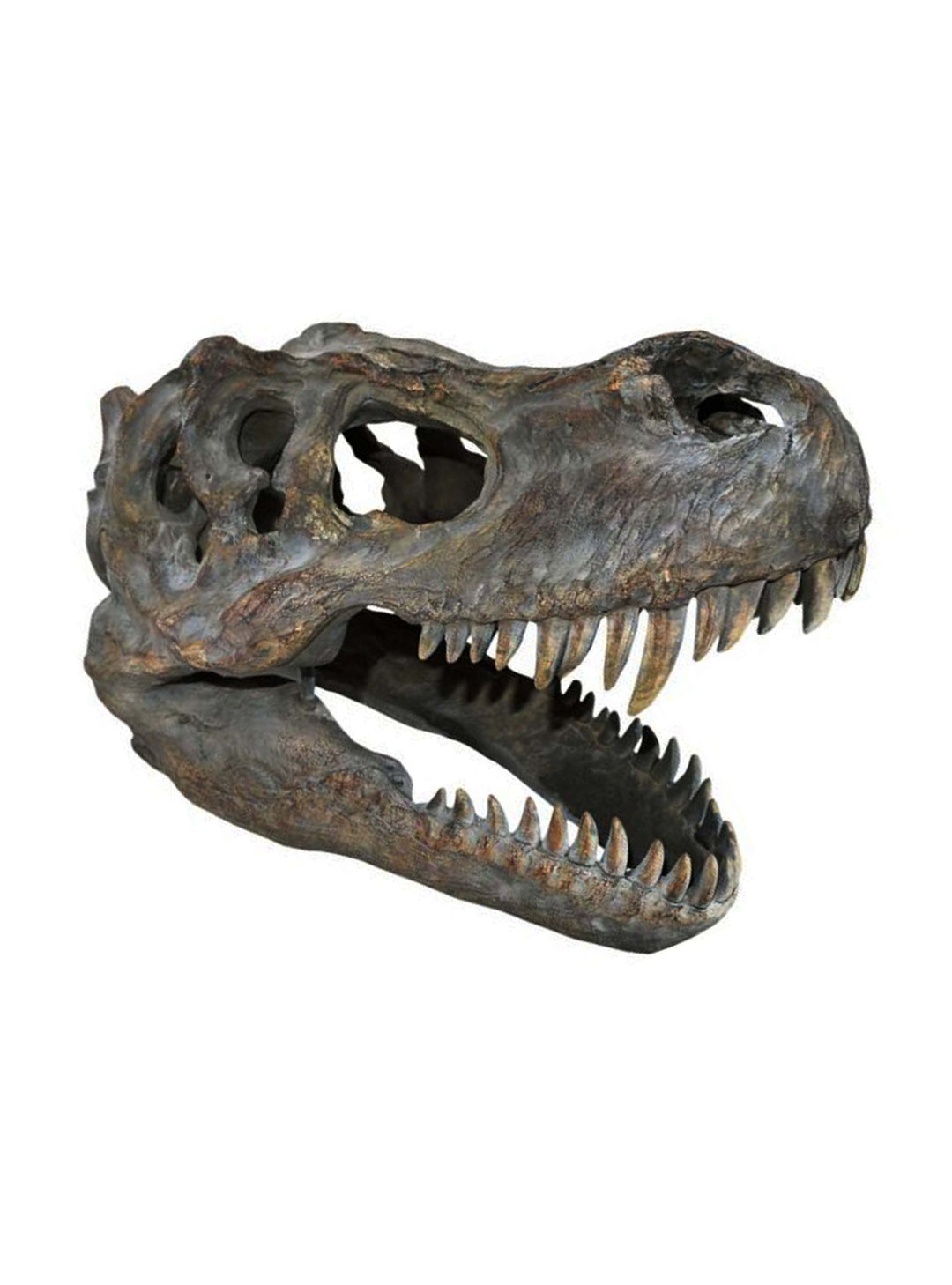 Realistic T Rex Sculpture, Animal head décor
