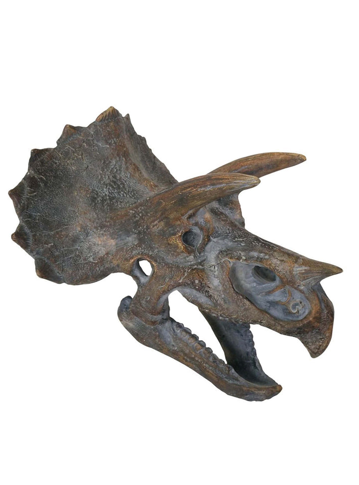 Triceratops Head wall mount