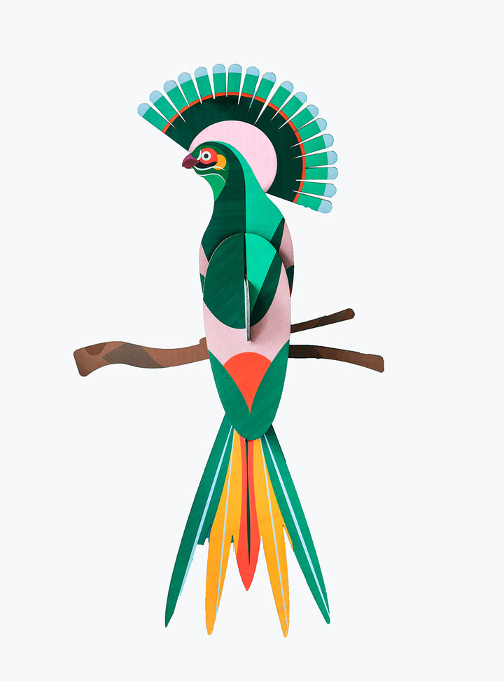 Paradise Bird Gili  – Tropical Bird Wall Decoration 3D Object to Build