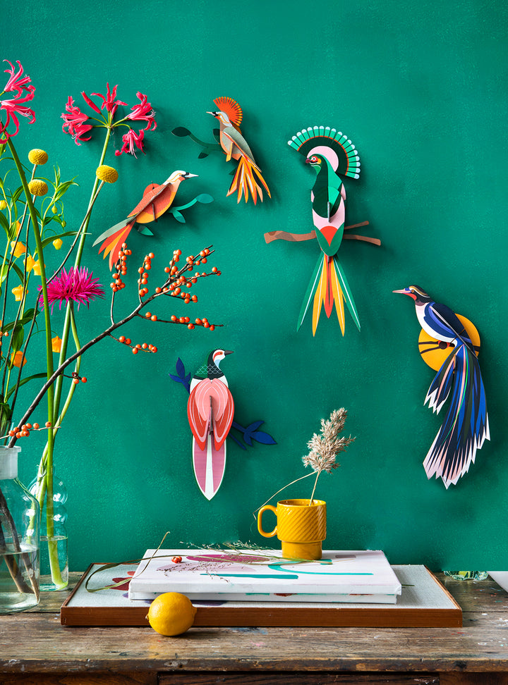 Paradise Bird Gili  – Tropical Bird Wall Decoration 3D Object to Build