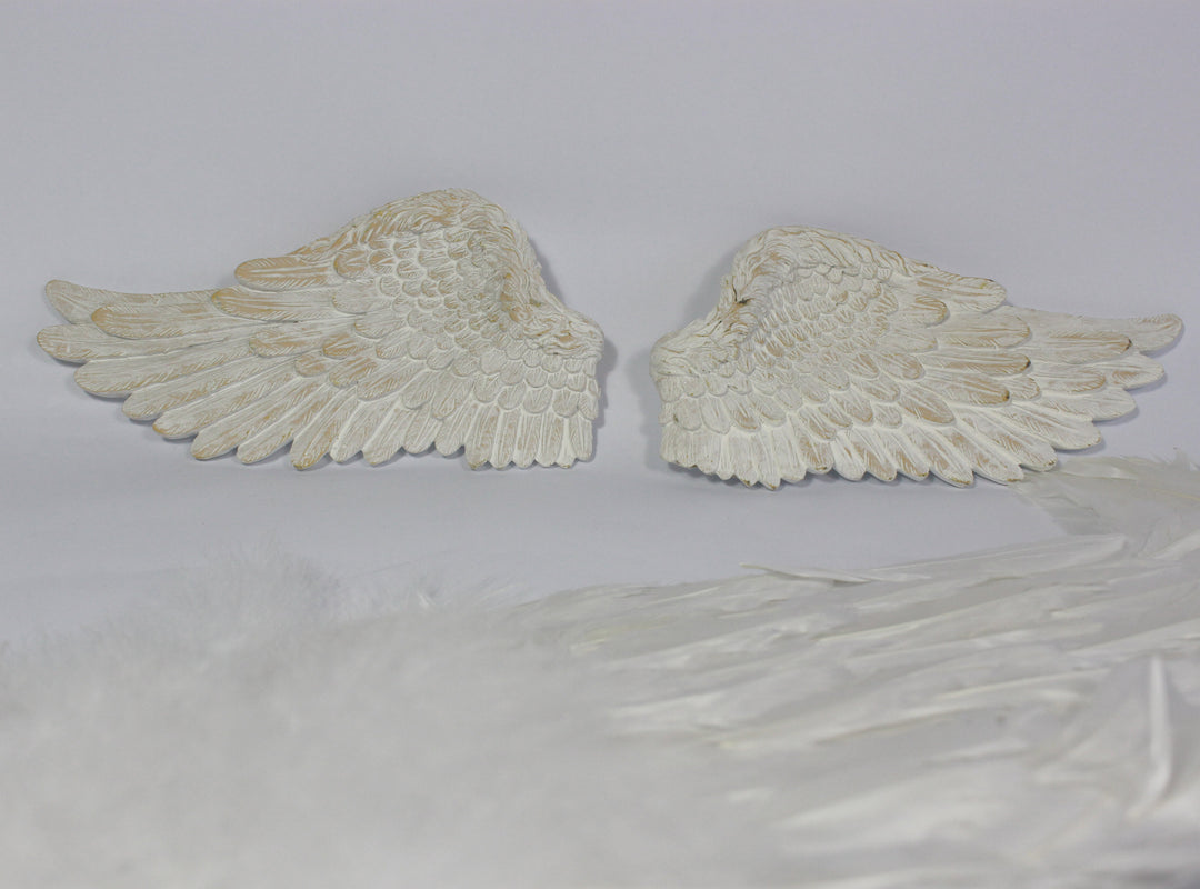 Small Angel Wings Wall Hanging