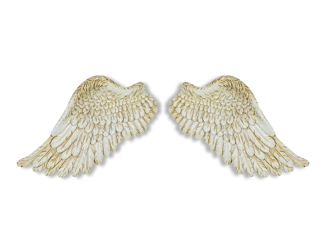 Small Angel Wings Wall Hanging