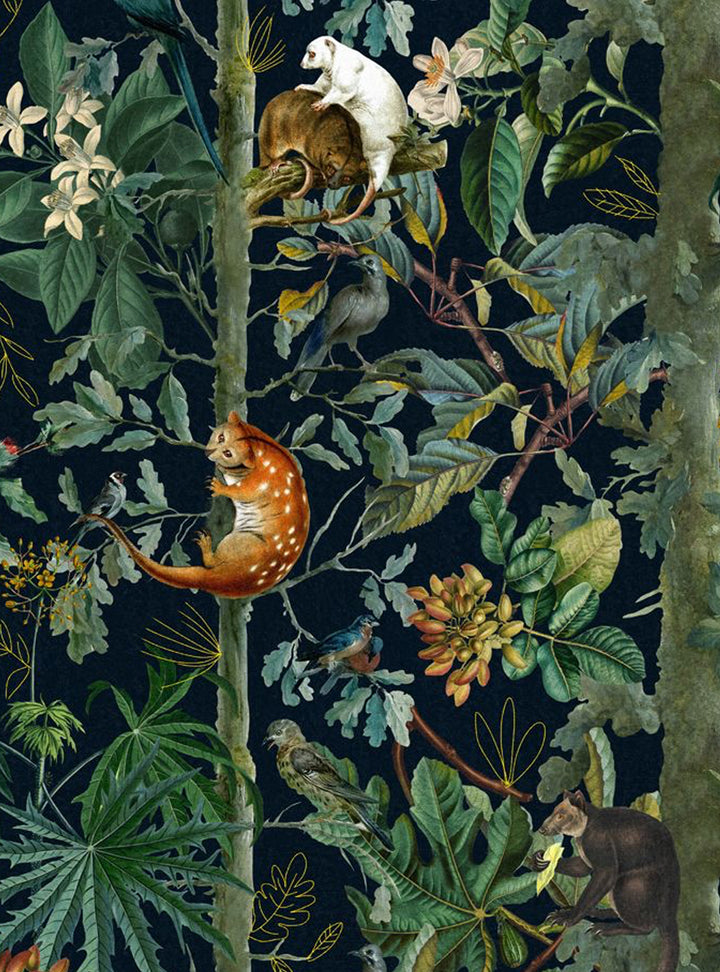 Mind The Gap Designer Wallpaper, Wildlife of Papua