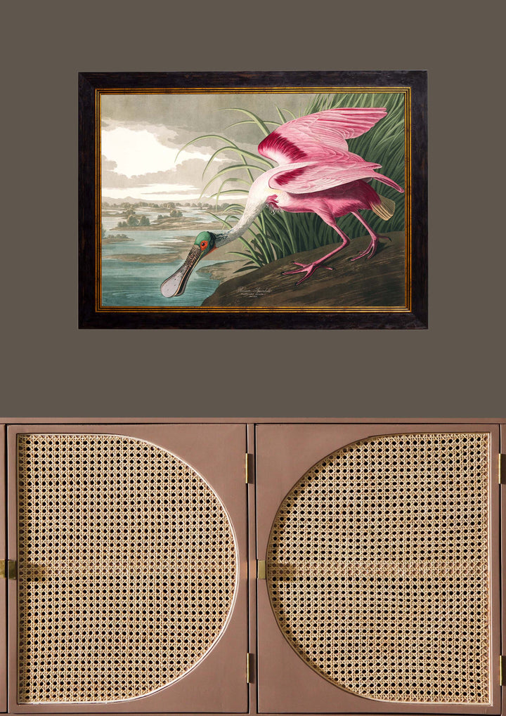 Pink Flamingo Framed Wall Picture, John James Audubon Prints, 95cmx70cm