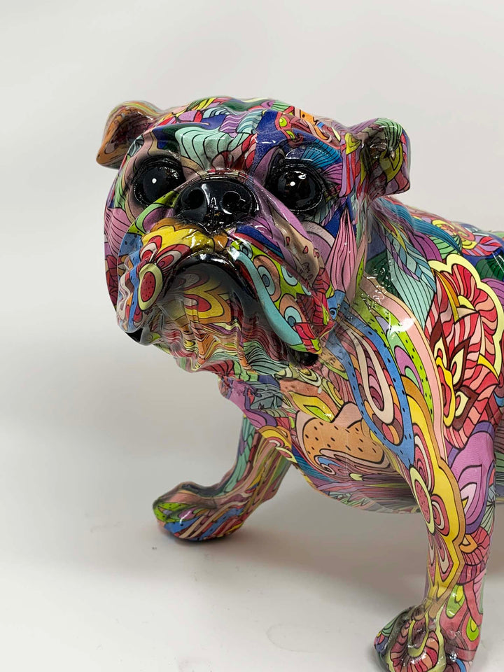 Multi coloured English bull dog 
