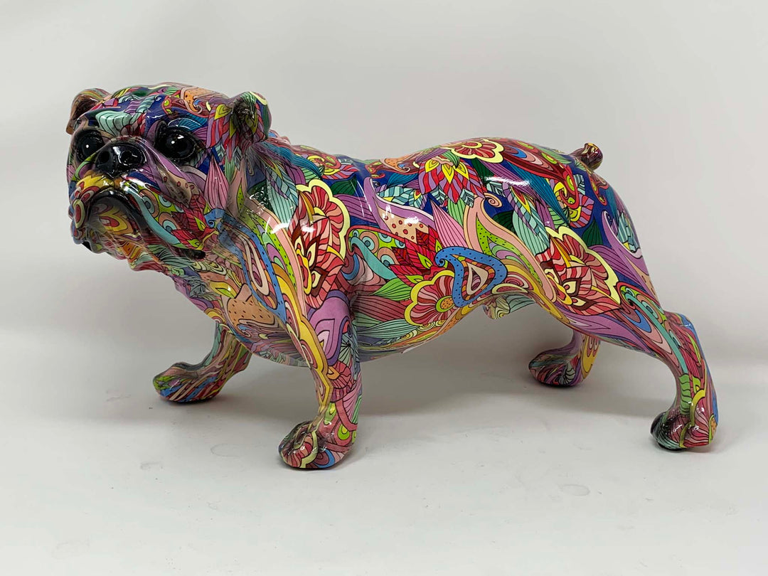 Multi coloured English bull dog 
