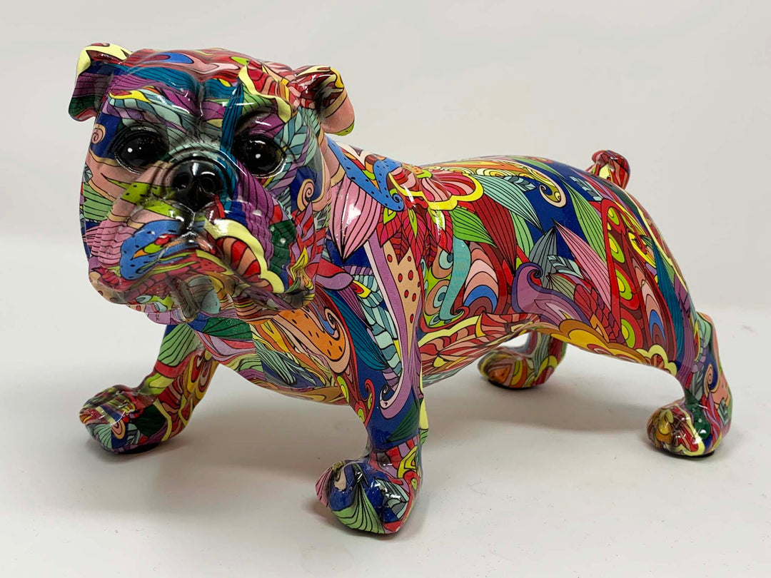 Multi coloured English bull dog large
