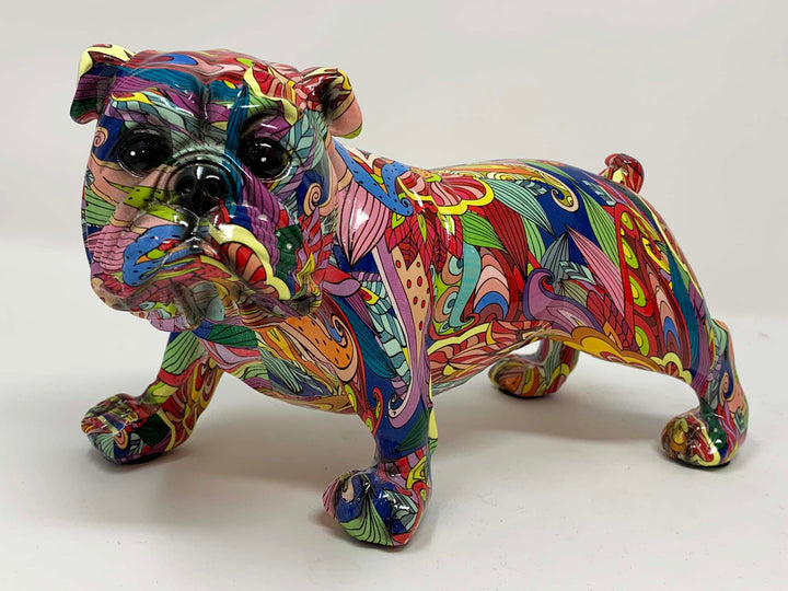 Multi coloured English bull dog large