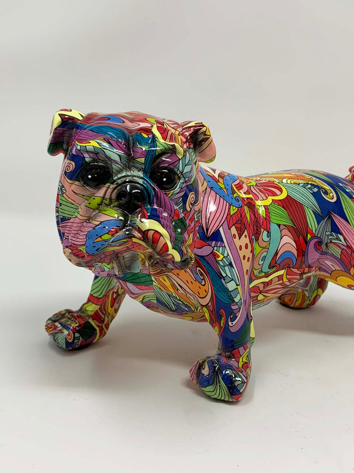 Multi coloured English bull dog 