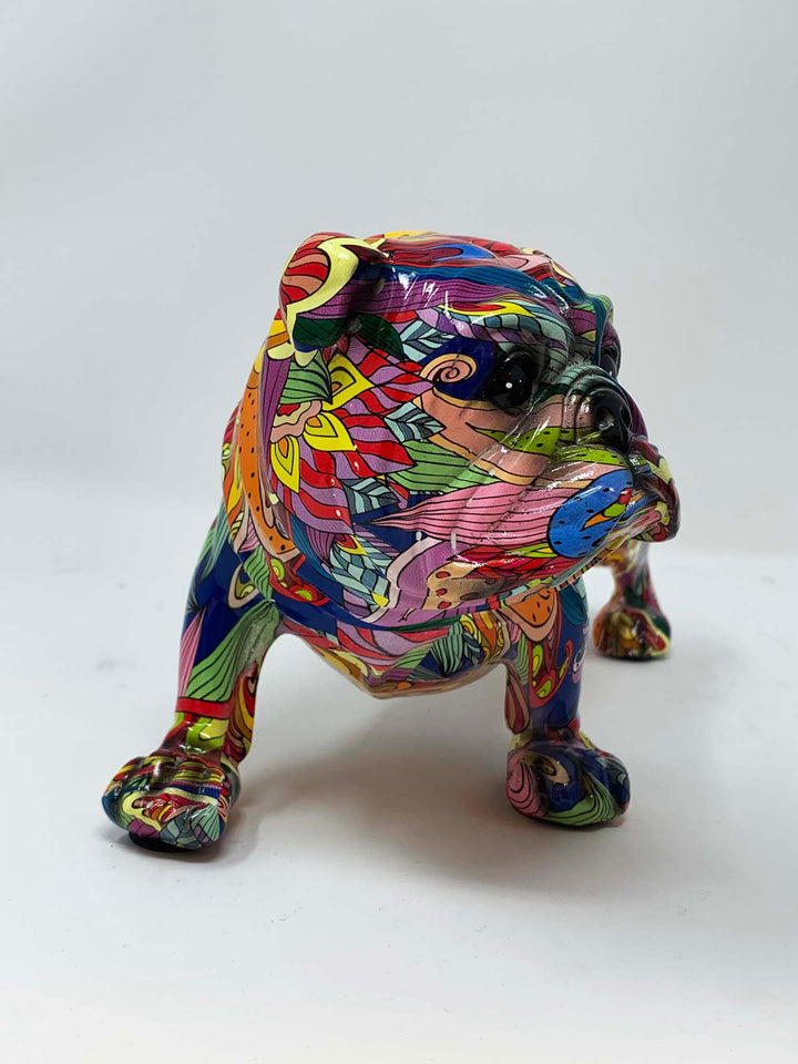 Multi coloured English bull dog small