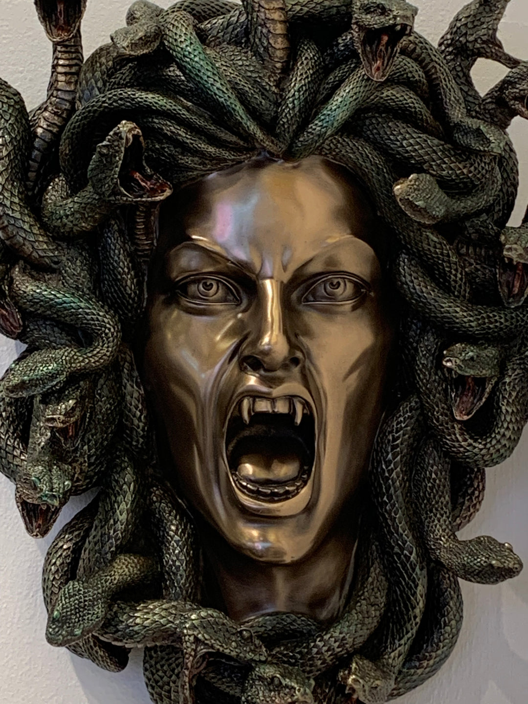 Small  Medusa Head Wall Plaque