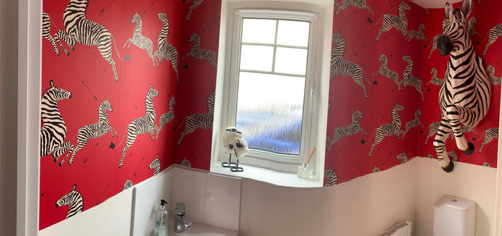 Zebra bathroom decoration, giraffe and zebra , designer wall paper,  Red Flying Zebra Wallpaper Abstract Wall Decor Jumping 